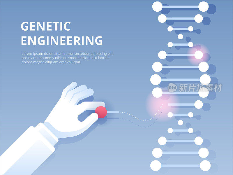 基因工程。基因编辑工具CRISPR CAS9